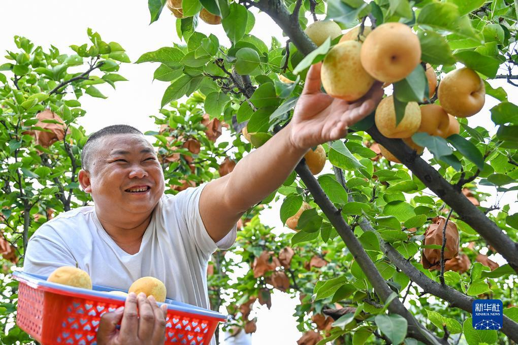 万能捕鱼破解器