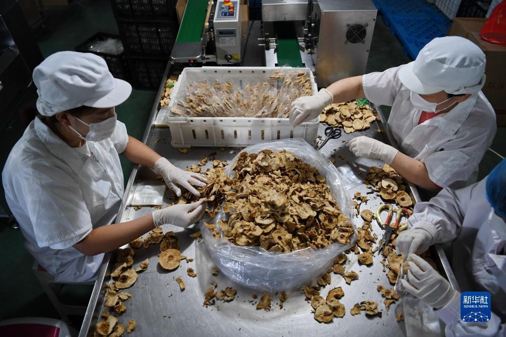 威尼斯人视讯